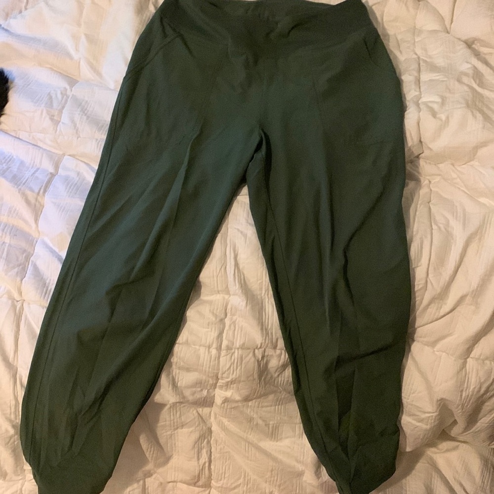 Patagonia happy hike pants womens small